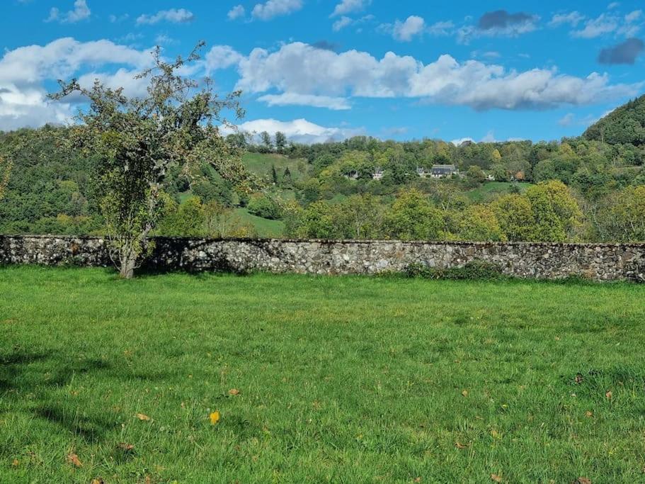 Maison La Rase Du Cantal Holiday home Menet