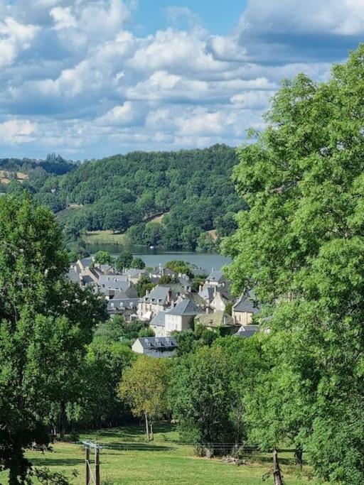 Holiday home Maison La Rase Du Cantal